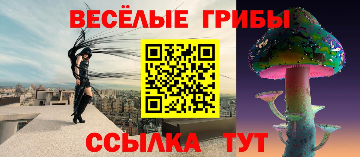 Галлюциногенные грибы мицелий  Вход с VPN  Псилоцибиновые грибы Psilocybe  Искитим 